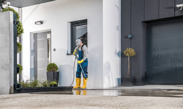 Best Soft Washing for Delicate Surfaces in Lynn, IN